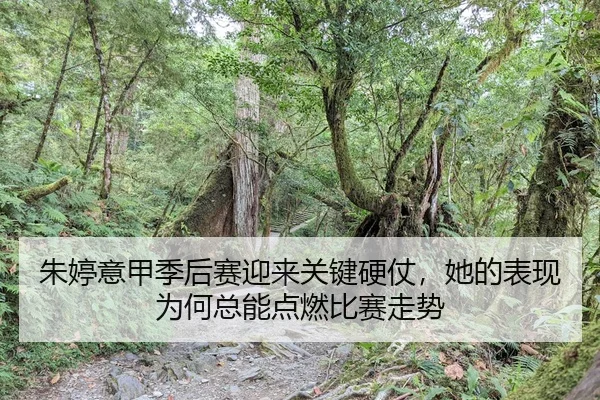 朱婷意甲季后赛迎来关键硬仗，她的表现为何总能点燃比赛走势